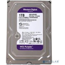 WESTERN DIGITAL 1TB WD Purple (WD11PURZ) {Serial ATA III, 5400- rpm, 64Mb, 3.5