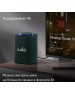Колонка ЯНДЕКС YNDX-00053Z СТАНЦИЯ МАКС (ZIGBEE) ЗЕЛЕНЫЙ