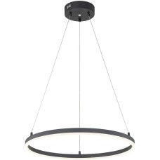 Светильник ESCADA 10254/1 LED*43W Black APP