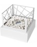 Камин электрический FIRELIGHT Биокамин BFP-T185BFW Bonfire White