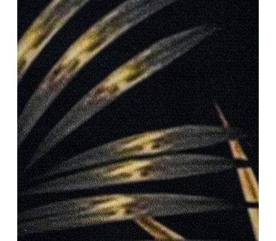 САНАКС - Коврик в ванную ПАМЯТЬ - эффект восстановления, одинарный, дизайнерский - черный+золото 50 х 80 см 00438