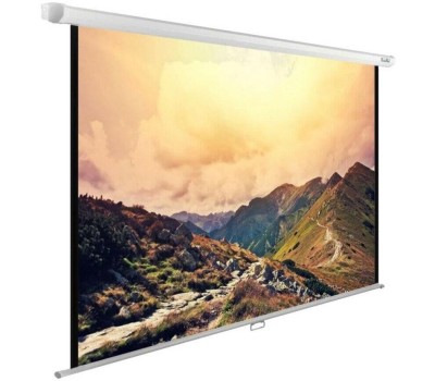 Экраны CACTUS Экран WallExpert CS-PSWE-220x165-WT, 220х165 см, 4:3, настенно-потолочный белый