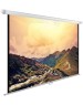 Экраны CACTUS Экран WallExpert CS-PSWE-220x165-WT, 220х165 см, 4:3, настенно-потолочный белый