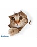 Коврик для мыши DEFENDER (50706) SILK - 10 видов ассортимент