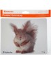 Коврик для мыши DEFENDER (50706) SILK - 10 видов ассортимент