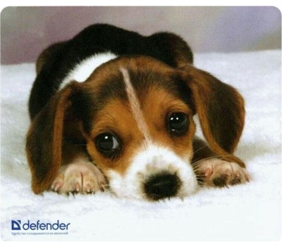 Коврик для мыши DEFENDER (50706) SILK - 10 видов ассортимент