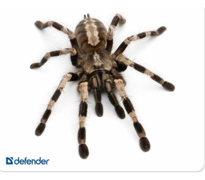 Коврик для мыши DEFENDER (50706) SILK - 10 видов ассортимент