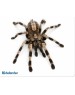 Коврик для мыши DEFENDER (50706) SILK - 10 видов ассортимент