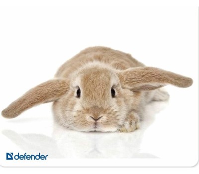 Коврик для мыши DEFENDER (50706) SILK - 10 видов ассортимент