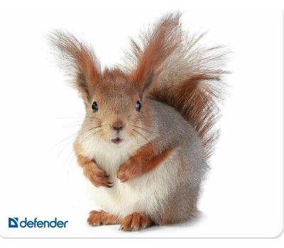 Коврик для мыши DEFENDER (50706) SILK - 10 видов ассортимент
