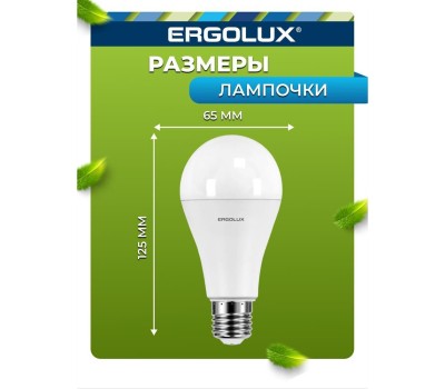 Лампочка светодиодная ERGOLUX (13182) LED-A65-20W-E27-3K