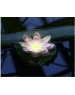 UNIEL USL-S-828/PT060 PURPLE WATERLILY