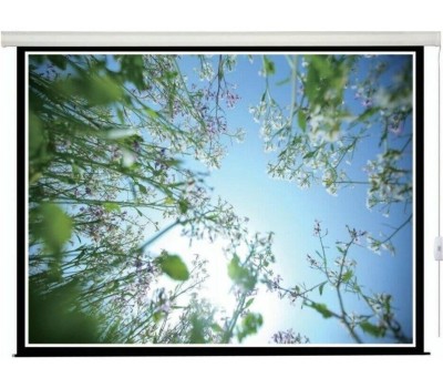 LUMIEN Экран Master Control LMC-100116, 300х208 см, 16:9, настенно-потолочный белый