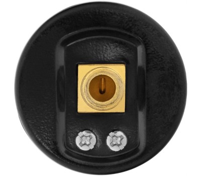 DENZEL Воздушный манометр G10, 40 мм, 1/8