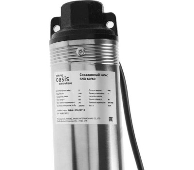 Насос OASIS SN 60/60