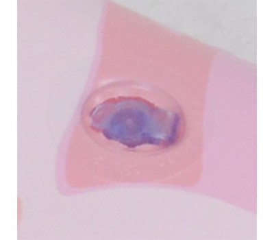 Матрас надувной для плавания 