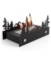 Камин электрический FIRELIGHT Биокамин BFP-T400MT Magic