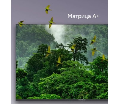 Телевизор POLARLINE 65PQ71STC-SM UHD SMART TV Android Безрамочный