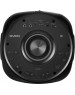 SVEN АС PS-770, черный (100 Вт, TWS, Bluetooth, FM, USB, microSD, LED-дисплей, 4400мА*ч)