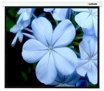 LUMIEN Экран Master Picture LMP-100103, 180х180 см, 1:1, настенно-потолочный