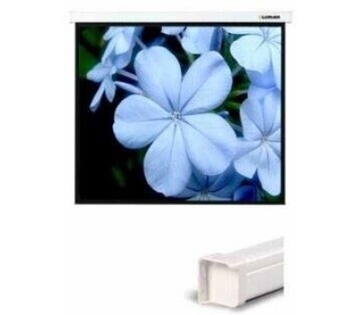 LUMIEN Экран Master Picture LMP-100103, 180х180 см, 1:1, настенно-потолочный