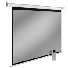 Экраны CACTUS Экран SIlverMotoExpert CS-PSSME-200X150-WT, 200х150 см, 4:3, настенно-потолочный белый