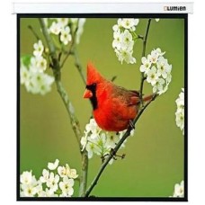 LUMIEN Экран Master Picture LMP-100129, 220х220 см, 1:1, настенно-потолочный