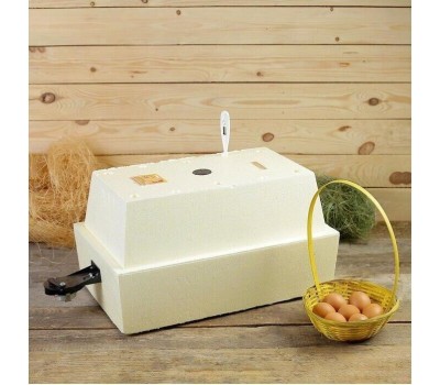 Инкубатор ЗОЛУШКА ИН 28/220В авт.поворот