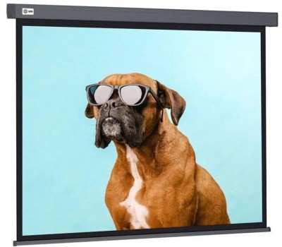 CACTUS Экран 187x332см Wallscreen CS-PSW-187X332-SG 16:9 настенно-потолочный рулонный серый