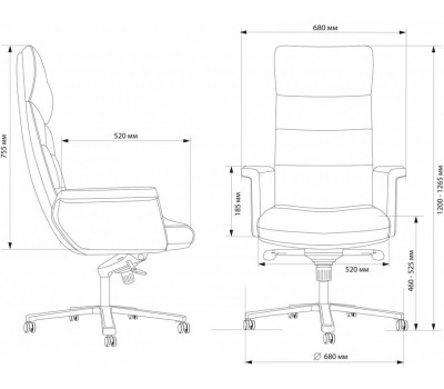Кресло компьютерное CACTUS Кресло руководителя CS-LBK-AMSTERDAM, кожа, до 120кг, черный