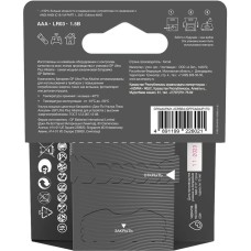 GP BATTERIES GP 24AUPA21-2CR4 40/320