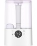 Увлажнитель воздуха ROYAL CLIMA RUH-ANP300/4.3E-WT ANTICA PRO