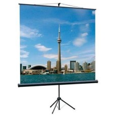 Экраны LUMIEN Экран Eco View LEV-100105, 160х160 см, 1:1, напольный