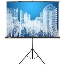 CACTUS Экран 84