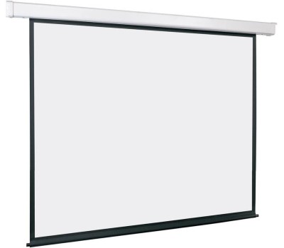 LUMIEN Экран Master Control LMC-100110, 305х229 см, 4:3, настенно-потолочный
