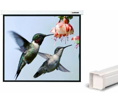 LUMIEN Экран Master Control LMC-100110, 305х229 см, 4:3, настенно-потолочный