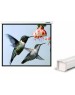 LUMIEN Экран Master Control LMC-100110, 305х229 см, 4:3, настенно-потолочный