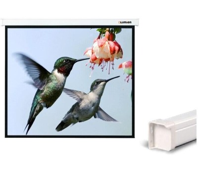 LUMIEN Экран Master Control LMC-100110, 305х229 см, 4:3, настенно-потолочный