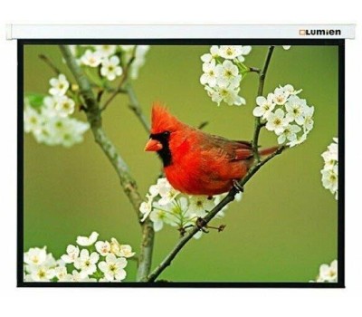 LUMIEN Экран Master Control LMC-100110, 305х229 см, 4:3, настенно-потолочный