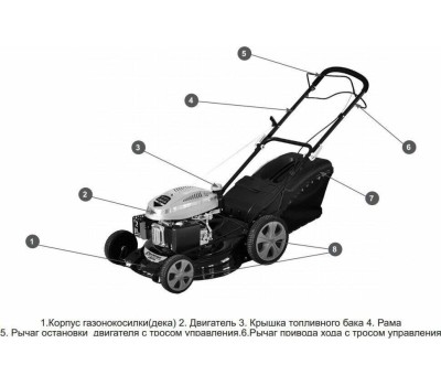 Газонокосилка бензиновая CHAMPION LM4630 Газонокосилка бензиновая