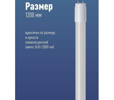 Лампа светодиодная КОСМОС LKSM_LED20WG13T840GL
