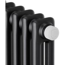 Радиатор ROYAL THERMO Дизайн-радиатор Insignia VC2180 - 12 секц. Anthracite