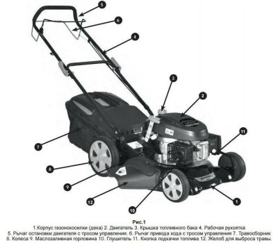Газонокосилка бензиновая CHAMPION LM5131 Газонокосилка бензиновая