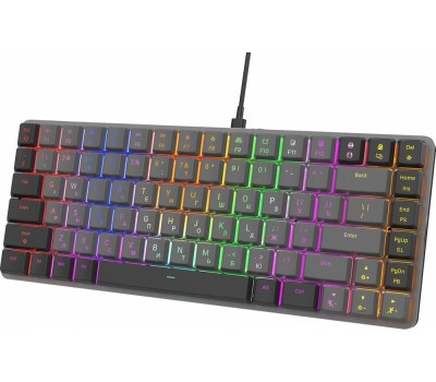 Клавиатура OKLICK Клавиатура K615X, проводная, USB, механическая, серый/серебристый [1934413]