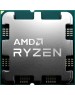 AMD CPU Ryzen 9 9900X3D OEM (100-000001368)