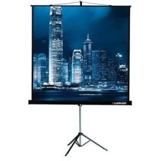 LUMIEN Экран Master View LMV-100101, 127х127 см, 1:1, напольный