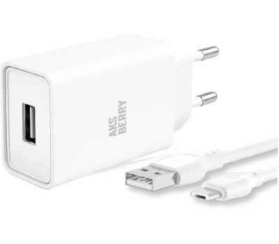 СЗУ AKSBERRY (6900221570013) T40 1USB 24A + MicroUSB (белый)