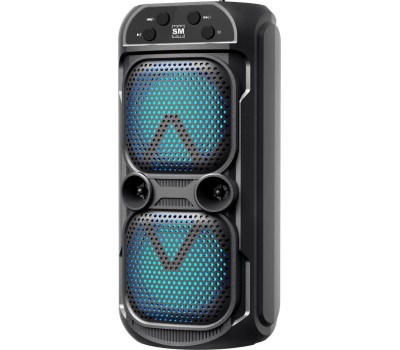 Колонка SOUNDMAX Портативное аудио SM-PS5039B(чёрный)