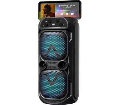 Колонка SOUNDMAX Портативное аудио SM-PS5039B(чёрный)