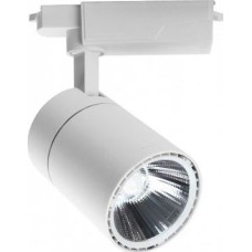 светильник ESCADA 20032TRA/03 LED 30W 4200K белый матовый